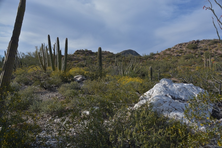 Senita Basin
